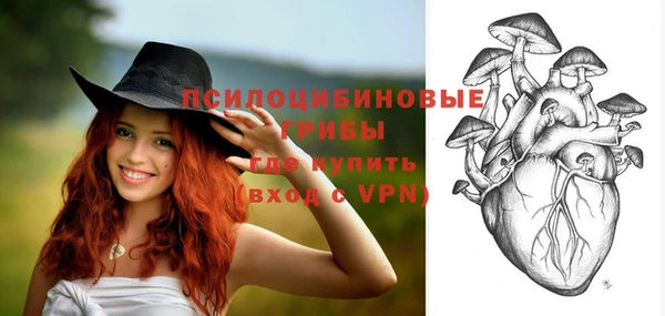 бутират Богородицк