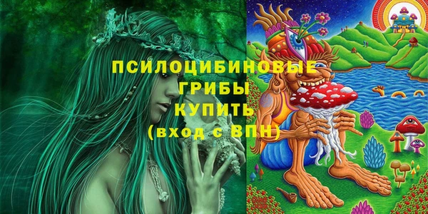 бутират Богородицк