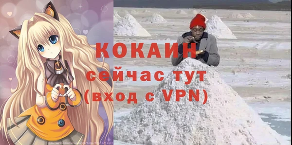 первитин Богданович