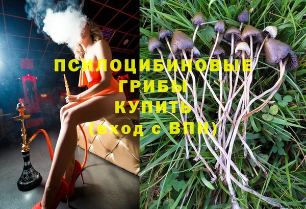 бутират Богородицк