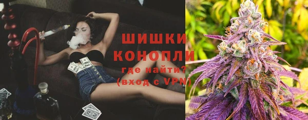 первитин Богданович