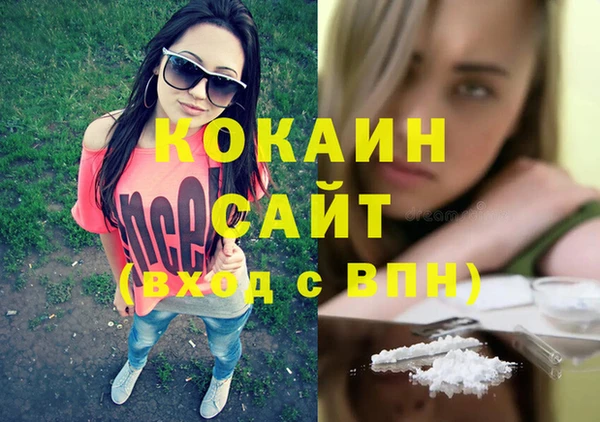 первитин Богданович